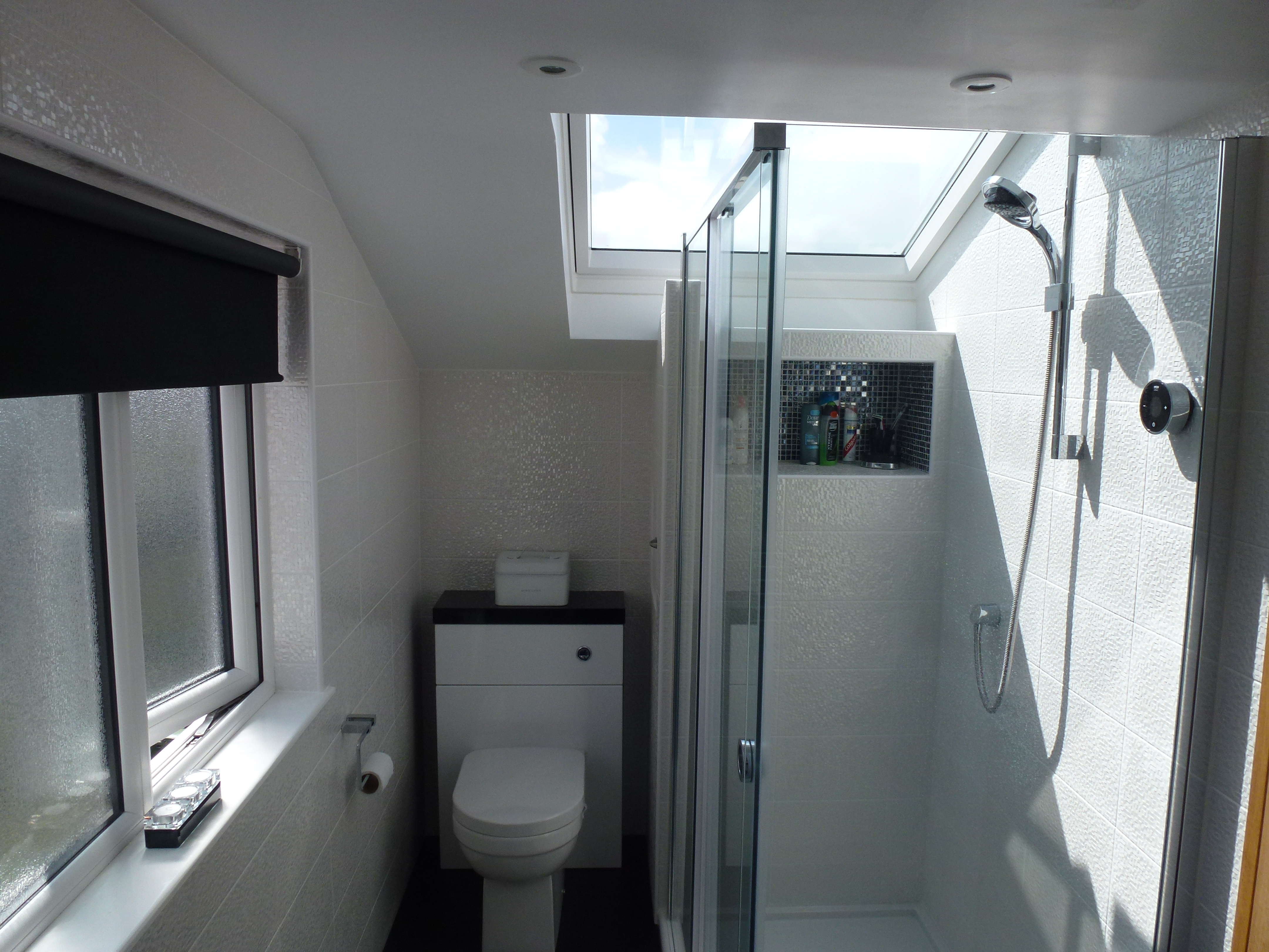 Shower with Velux over