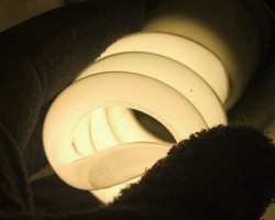 lightbulb