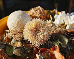potpourri