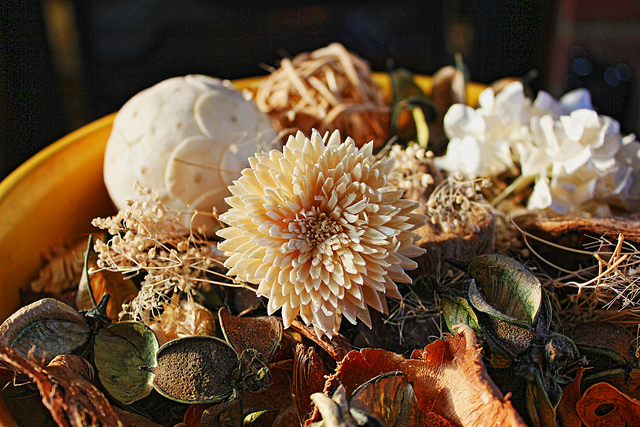 potpourri