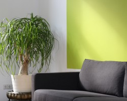 Greenery Painted Wall