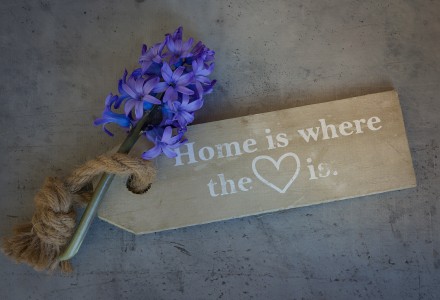 hyacinth-flowers-home