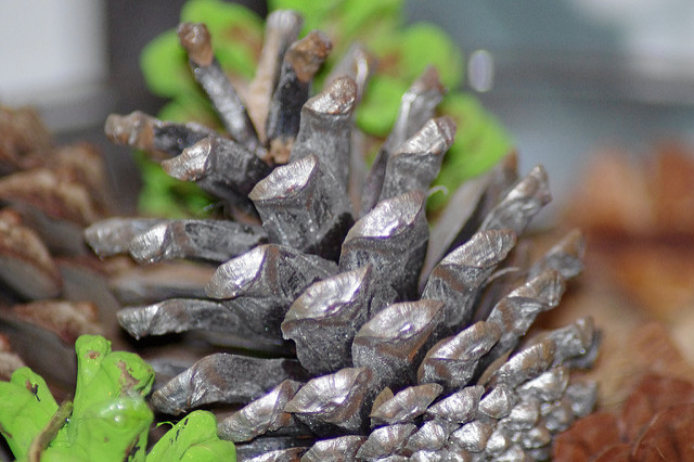 Painted Pine Cone