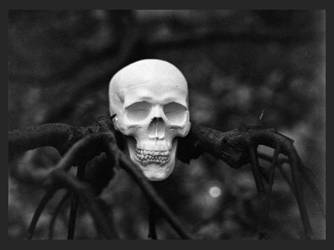 Creepy Halloween skull decoration
