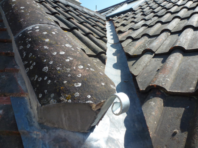 roof inspection repairs winter