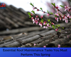 Roof care roof repair spring MPK Lofts