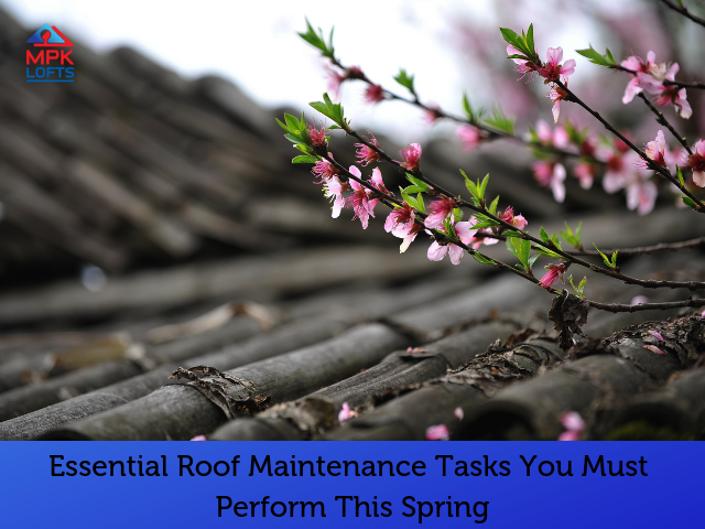 Roof care roof repair spring MPK Lofts