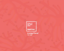 Pantone Colour of the Year Living Coral